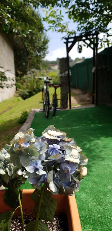 Quinta De Carvalhal - Casa De Campo Guimarães Eksteriør bilde